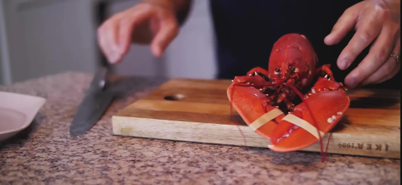 Lobster – Promo